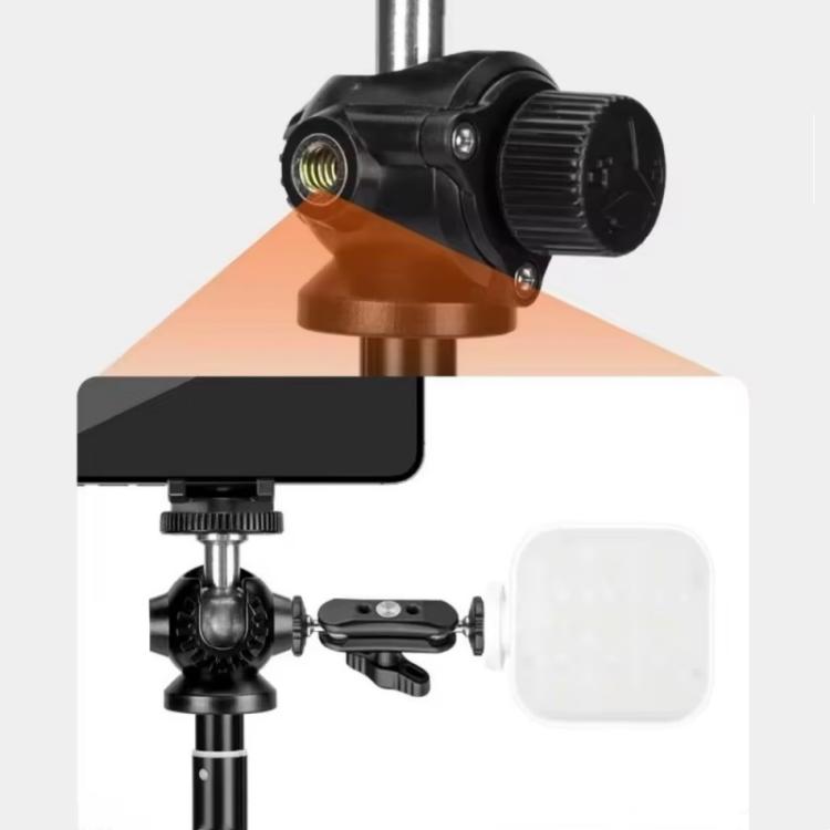 SYA0031198_4.jpg@52c9bb8bafffac6a2c952dc1a5d10692