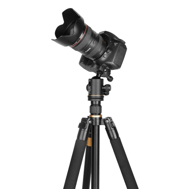 Q222 Portable 4-Section Folding Legs Aluminum Alloy Tripod Mount Monopod Holder with Ball Heads - Tripods by PMC TechLife | Online Shopping South Africa | PMC TechLife | Buy Now Pay Later Mobicred