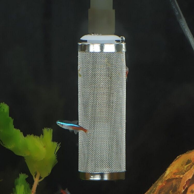 Stainless Steel Water Inlet Protective Cover Fish Tank Aquarium Filter Water Inlet Suction Filter Cover, Specification: White 16mm - Filters & Accessories by PMc TechLife | Online Shopping South Africa | PMc TechLife | Buy Now Pay Later Mobicred