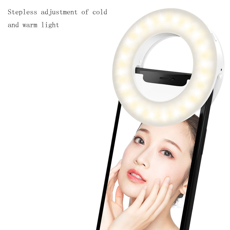 Mobile Phone Live Selfie Light LED Beauty Ring Fill Light(White) - Ring Light by PMC TechLife | Online Shopping South Africa | PMC TechLife | Buy Now Pay Later Mobicred