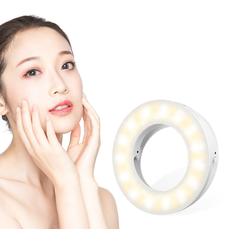 Mobile Phone Live Selfie Light LED Beauty Ring Fill Light(Black) - Ring Light by PMC TechLife | Online Shopping South Africa | PMC TechLife | Buy Now Pay Later Mobicred