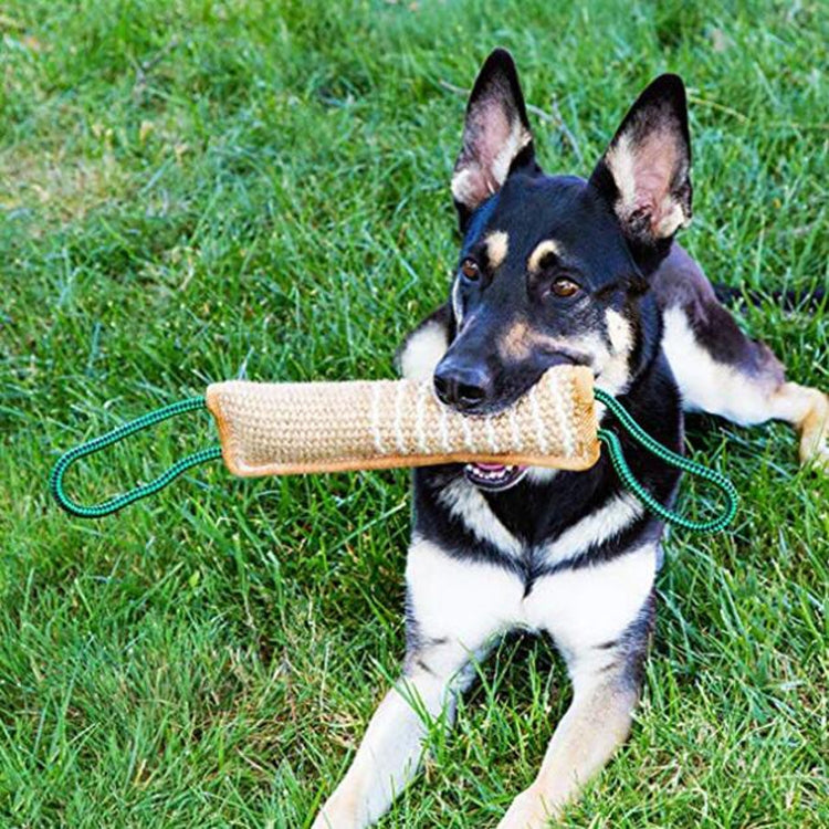 Dog Training Hemp Bite Stick Dog Bite Stick Dog Training Supplies(A4) - Training Aids by PMC TechLife | Online Shopping South Africa | PMC TechLife | Buy Now Pay Later Mobicred