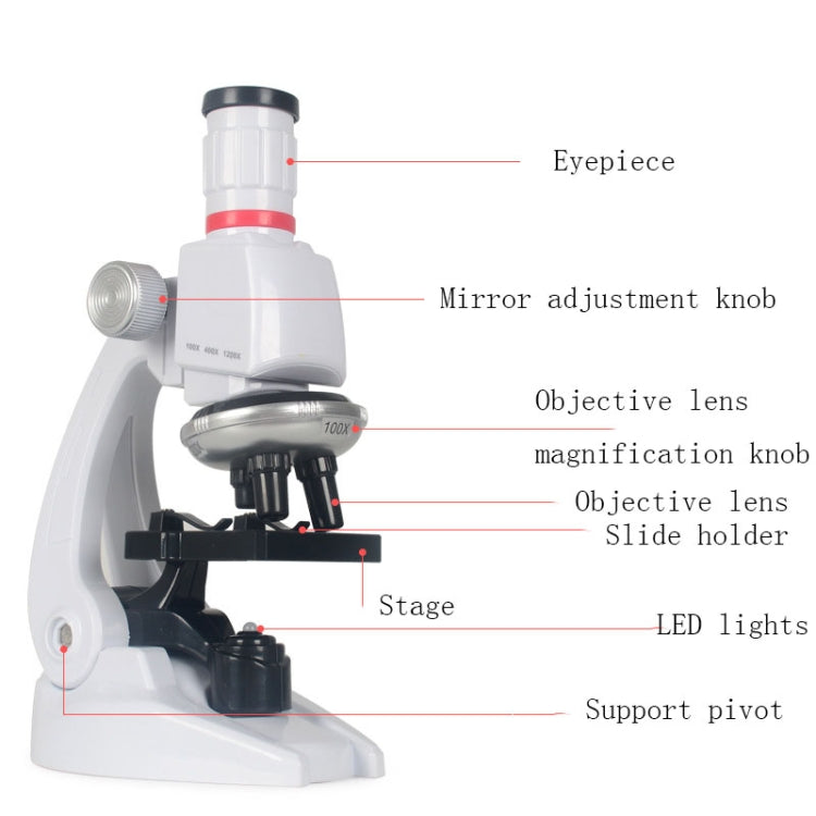 Early Education Biological Science 1200X Microscope Science And Education Toy Set For Children L - free shipping - PMC Jewellery - Order now!