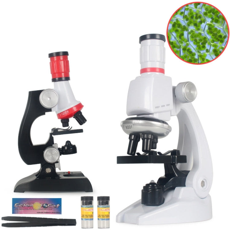 Early Education Biological Science 1200X Microscope Science And Education Toy Set For Children L - free shipping - PMC Jewellery - Order now!