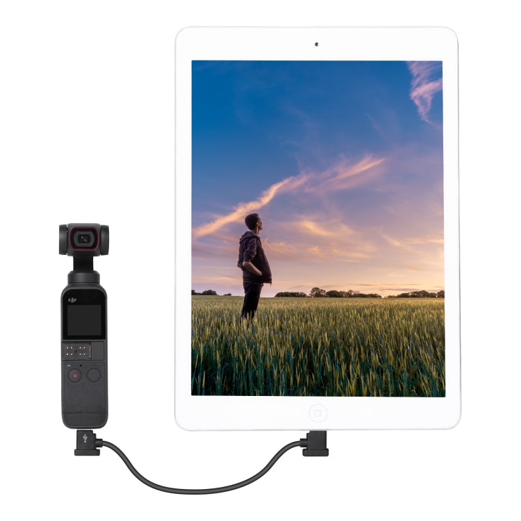 Sunnylife TY-X9304 Suitable For DJI Mavic Air 2S / DJI FPV Flight Glasses V2 / Mavic Mini2 / Osmo Pocket 2 Mobile Phone Tablet Cable 30cm Type-C to 8 Pin Cable - Other Accessories by PMC TechLife | Online Shopping South Africa | PMC TechLife | Buy Now Pay Later Mobicred