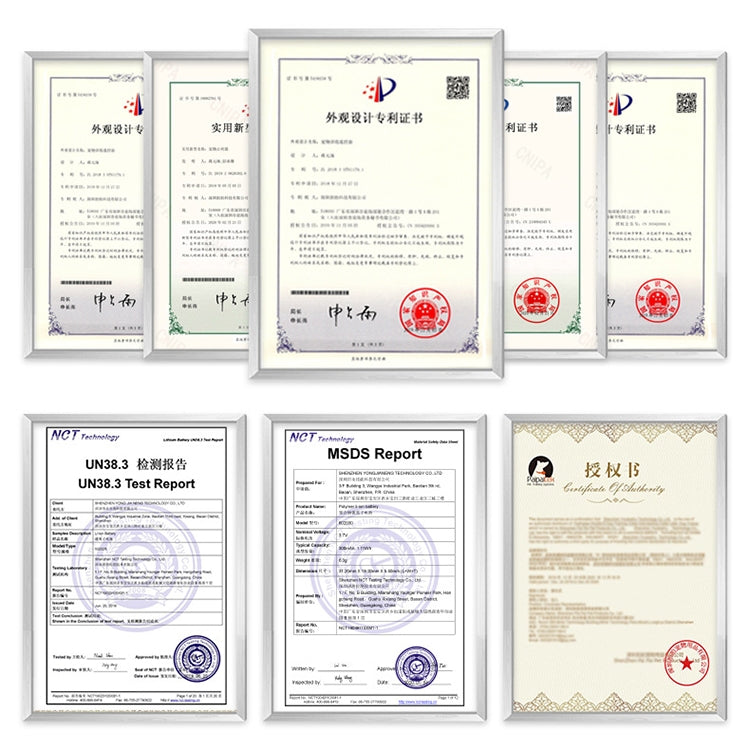 PaiPaitek PD529-2 Remote Training Dog Device Pet Training Supplies Anti-Barking Training Equipment - free shipping - PMC TechLife - Order now!