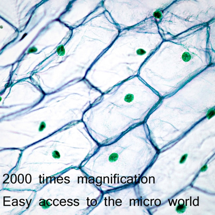 2000X WIFI High Magnification Biological Microscope USB HD Digital Magnifying Glass - free shipping - PMC Jewellery - Order now!