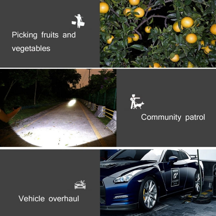 TBD0574959401_B4.jpg@73e05fef1df4b5b2229b1f2fb7b9c9fa