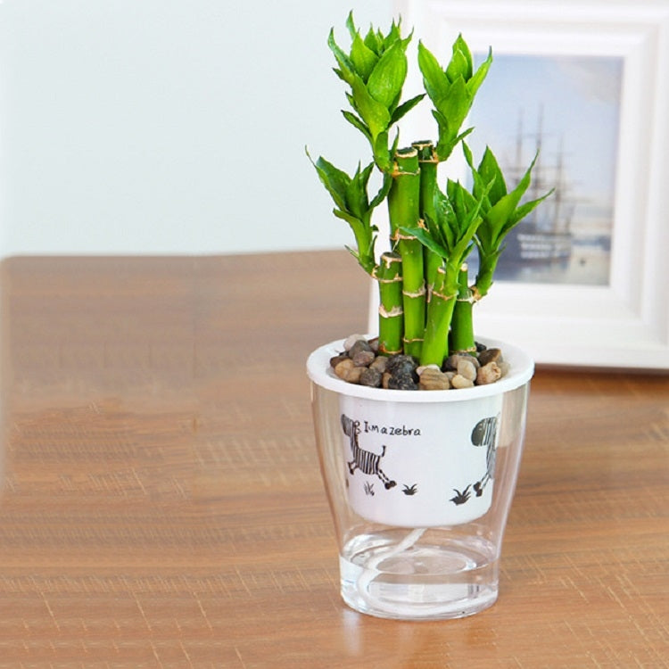 Fully Transparent Hydroponic Flower Pots Water Level Visible Non-Broken Glue Self-Absorbent Plastic Flower Pots, Size: W09 Caliber 17.5cm(Full Transparent Zebra Pattern) - Flower Pots & Planters by PMc TechLife | Online Shopping South Africa | PMc TechLife | Buy Now Pay Later Mobicred