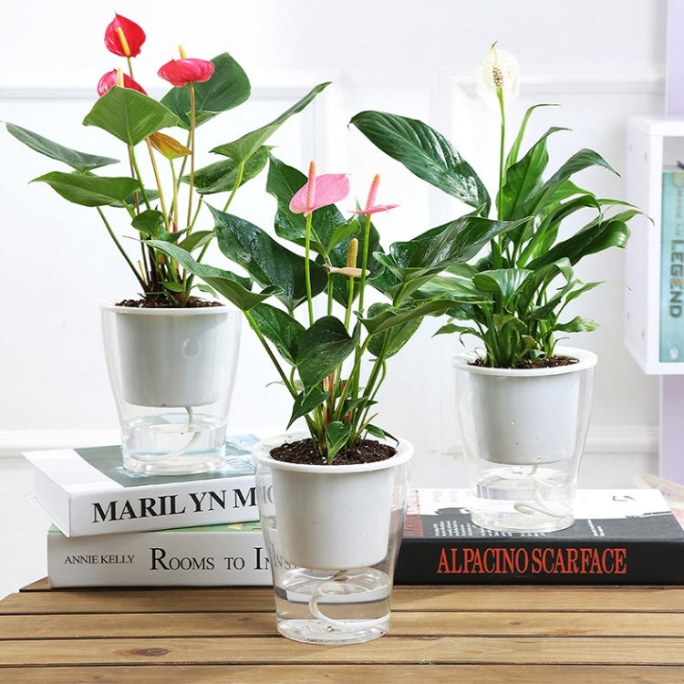 Fully Transparent Hydroponic Flower Pots Water Level Visible Non-Broken Glue Self-Absorbent Plastic Flower Pots, Size: W10 Caliber 17.5cm(Full Transparency) - Flower Pots & Planters by PMc TechLife | Online Shopping South Africa | PMc TechLife | Buy Now Pay Later Mobicred