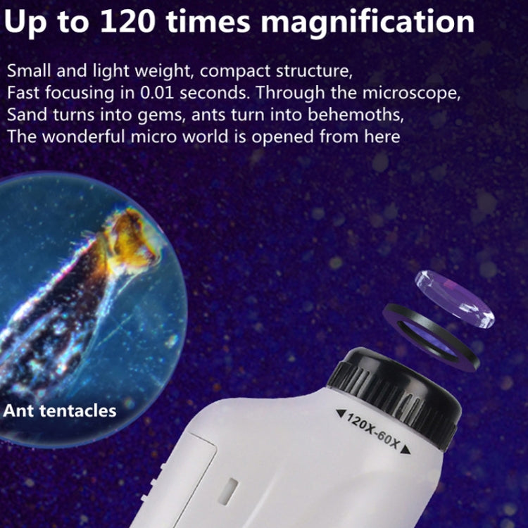 Children Handheld Portable Laboratory Equipment Microscope Toys, Colour: Lite + Bracket (Pink) - Digital Microscope by PMC TechLife | Online Shopping South Africa | PMC TechLife | Buy Now Pay Later Mobicred