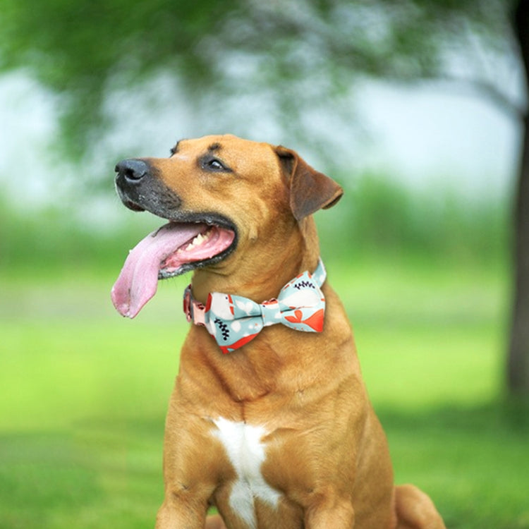 Rose Gold Buckle Pet Detachable Bow Collar, Size: M 2.0x33-50cm(Sweet Pink Girl) - Collars by PMC TechLife | Online Shopping South Africa | PMC TechLife | Buy Now Pay Later Mobicred