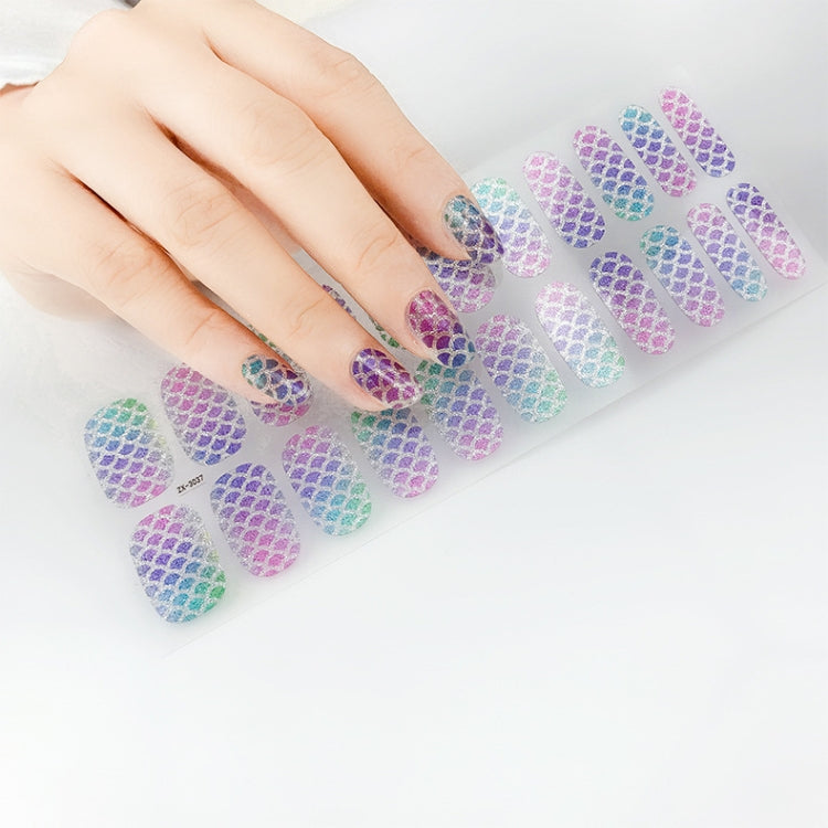 22 Fingers Shiny Onion Powder Starry Waterproof Nail Sticker(ZX-3024) - Nail Stickers by PMC TechLife | Online Shopping South Africa | PMC TechLife