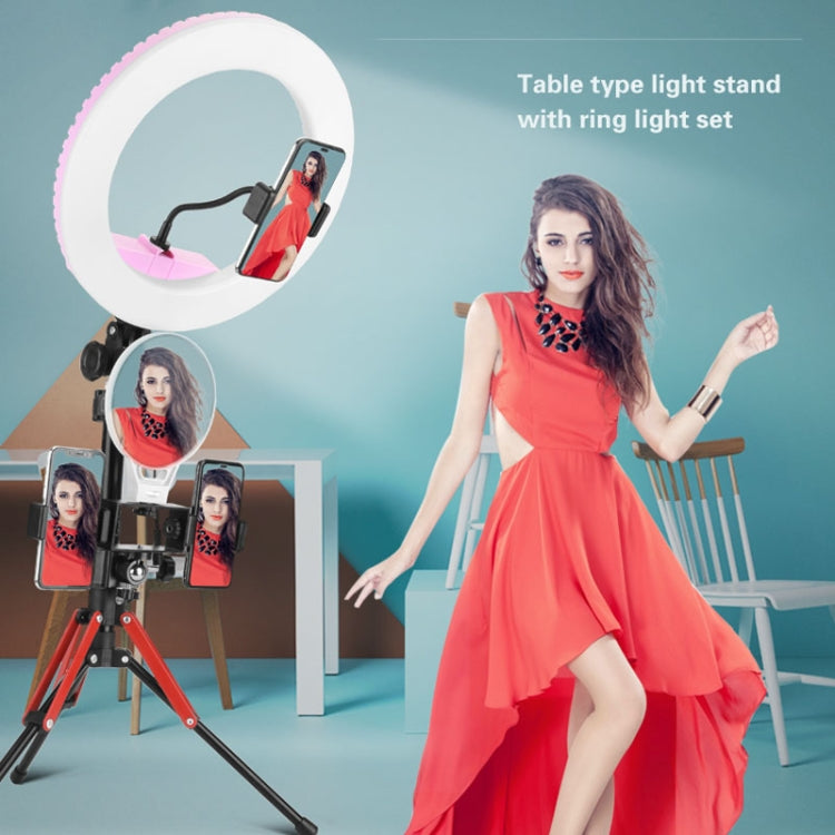 Aluminum Alloy Folding Mobile Phone Stand Live Selfie Floor Stand(Grey) - Stand by PMC TechLife | Online Shopping South Africa | PMC TechLife | Buy Now Pay Later Mobicred