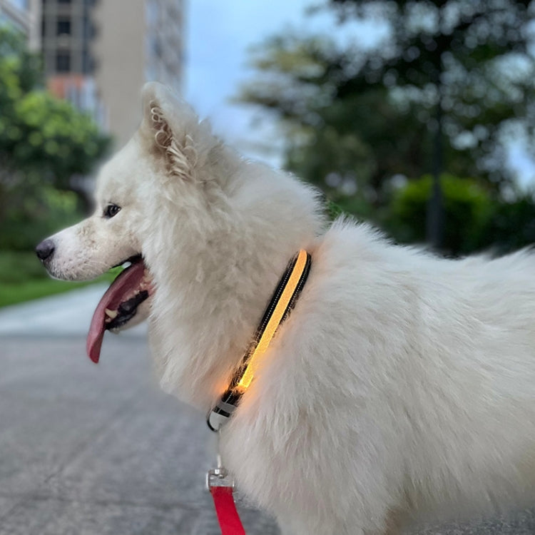LED Rechargeable Wear-resistant and Waterproof Pet Lighting Collar, Size: XS(Black) - Collars by PMC TechLife | Online Shopping South Africa | PMC TechLife | Buy Now Pay Later Mobicred
