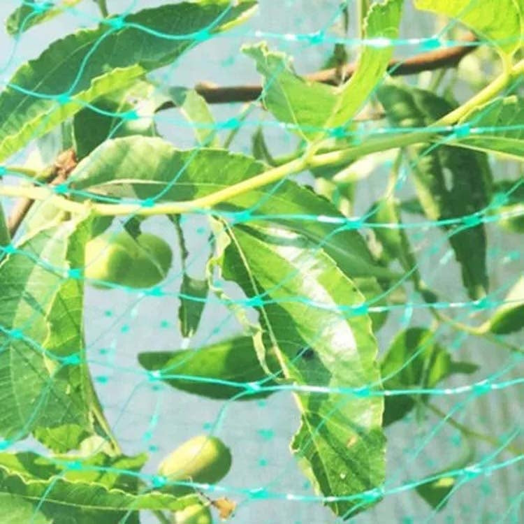 4Mx5M  Anti Bird Protection Net Mesh Garden Plant Netting Protect Plants and Fruit - Garden Netting by PMC TechLife | Online Shopping South Africa | PMC TechLife | Buy Now Pay Later Mobicred