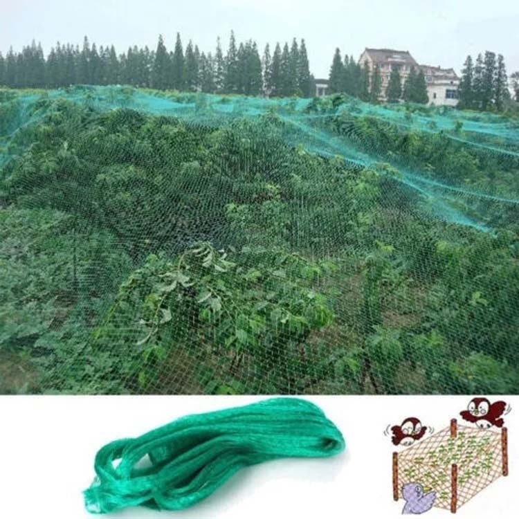 4Mx15M  Anti Bird Protection Net Mesh Garden Plant Netting Protect Plants and Fruit - Garden Netting by PMC TechLife | Online Shopping South Africa | PMC TechLife