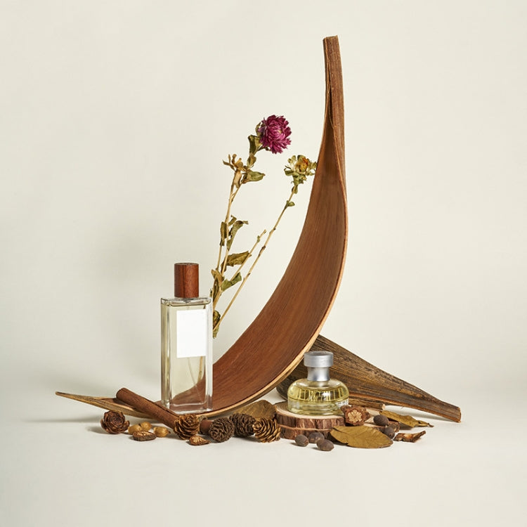 35-39 cm Cocoa Leaves Natural Plant Shooting Props Dry Flower Ornaments - Other Props by PMC TechLife | Online Shopping South Africa | PMC TechLife | Buy Now Pay Later Mobicred