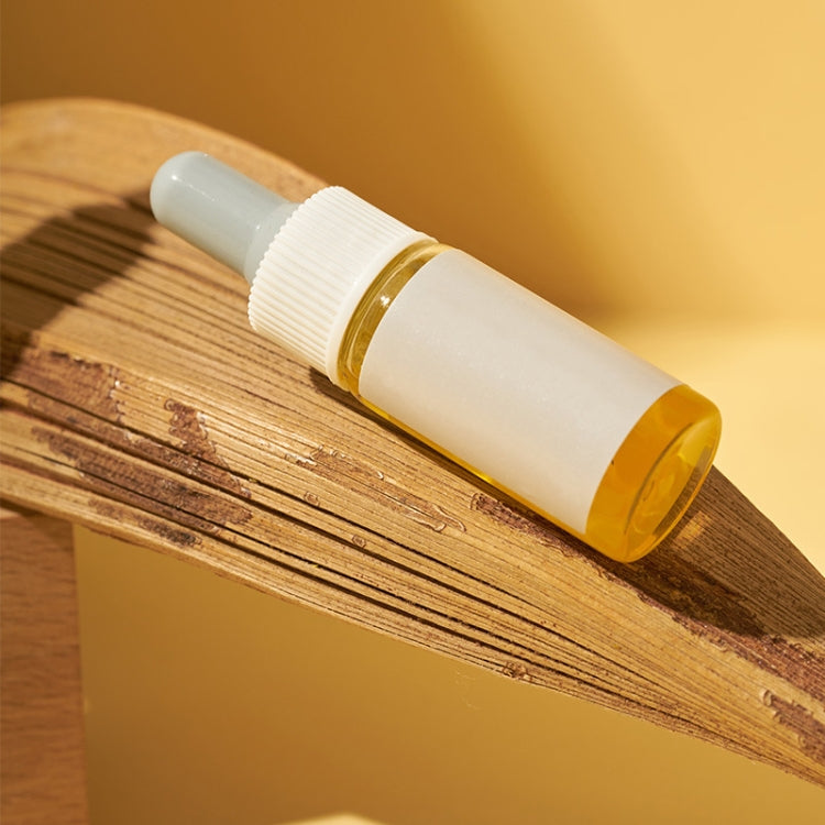 35-39 cm Cocoa Leaves Natural Plant Shooting Props Dry Flower Ornaments - Other Props by PMC TechLife | Online Shopping South Africa | PMC TechLife | Buy Now Pay Later Mobicred