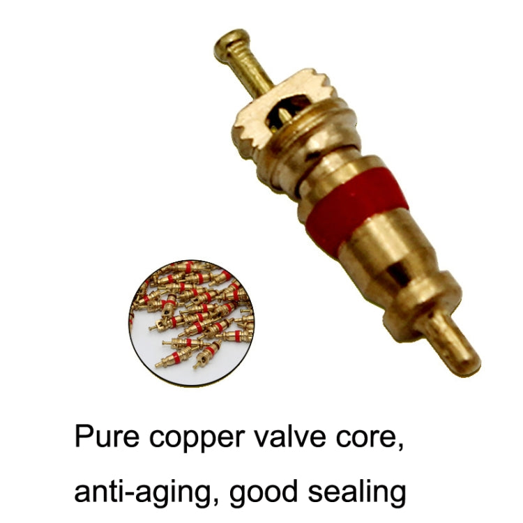 10pcs /Set Valve Core Gas Needle Car Tires Universal Vacuum Tire Exhaust Valve(Pure Copper) - Tire Repair & Installation Tools by PMC TechLife | Online Shopping South Africa | PMC TechLife | Buy Now Pay Later Mobicred