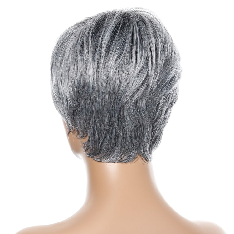 Wig-332 Silver Gray Ladies Short Straight Hair Wig High Temperature Silk Chemical Fiber Headgear - free shipping - PMC TechLife - Order now!