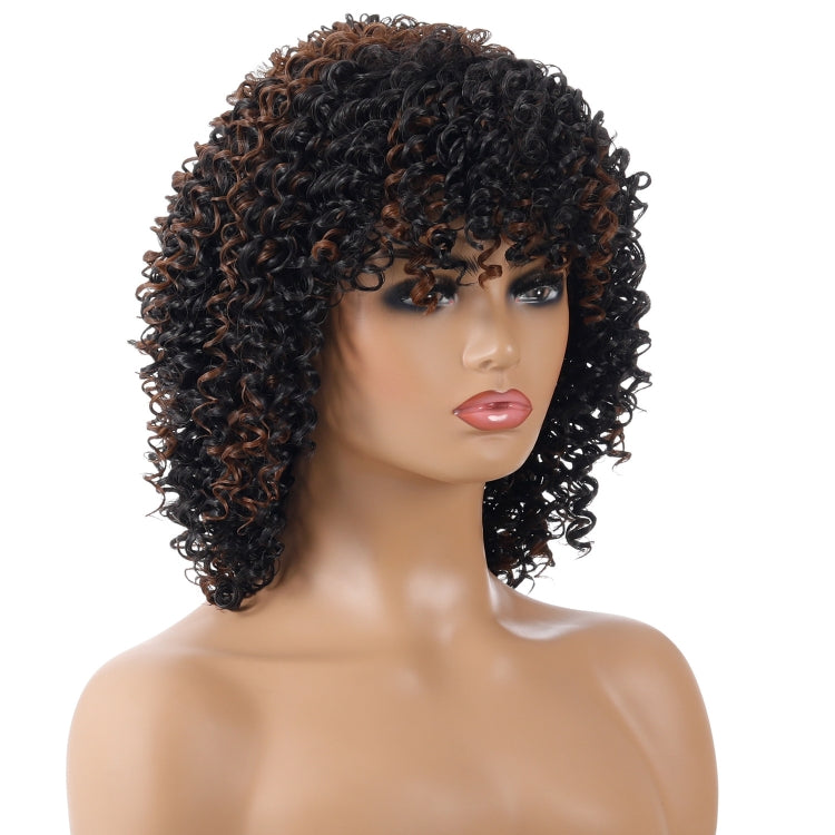 WIG-T130H Ladies Short Curly Hair High Temperature Silk Wig Chemical Fiber Headgear(Black Brown) - free shipping - PMC TechLife - Order now!