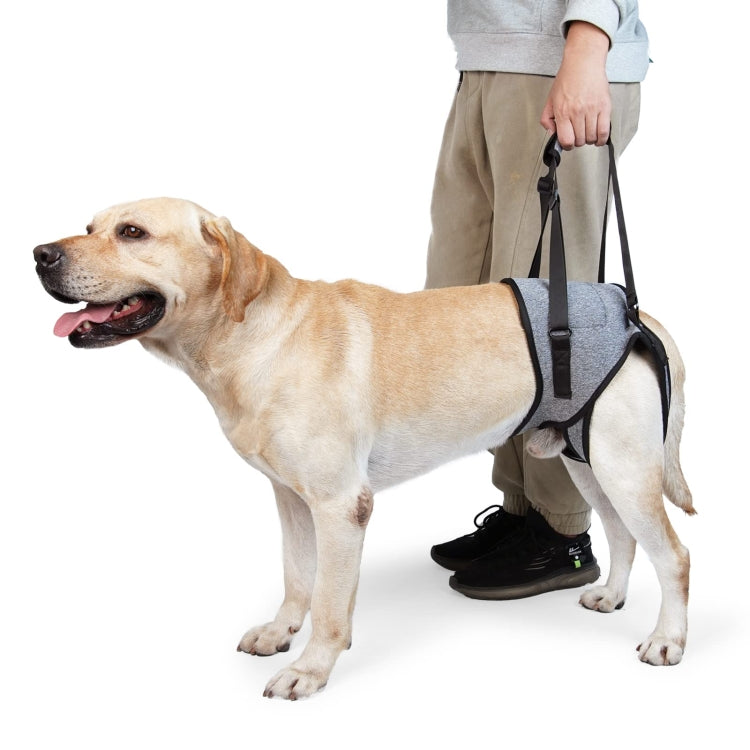 Dog Hind Leg Auxiliary Strap Decompression Auxiliary Travel Belt For Elderly and Injured Dog, Size: L - Protector Walking Aids by PMC TechLife | Online Shopping South Africa | PMC TechLife
