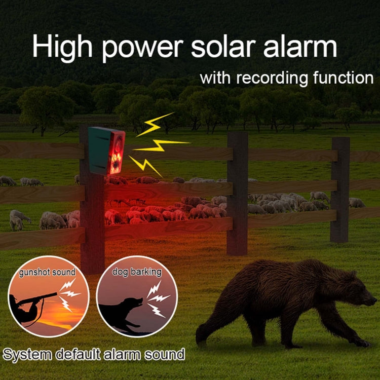 N911N Solar Alarm Infrared Sensor Sound And Light Blast Warning Light Animal Repeller(English Version) - Alarm System by PMC TechLife | Online Shopping South Africa | PMC TechLife