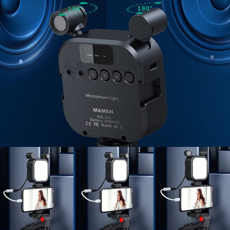 KIT-11LM Tripod Fill Light With Microphone Vlogging Kit For Live Phone Recording(Black) - Stand by PMC TechLife | Online Shopping South Africa | PMC TechLife | Buy Now Pay Later Mobicred