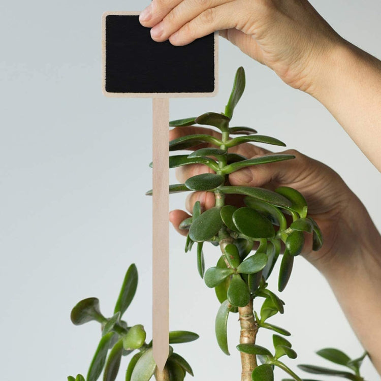 ZX507 10pcs Wooden Plug-in DIY Message Board Mini Plant Name Tags Desktop Display Board(24cm Length) - Message Boards by PMC TechLife | Online Shopping South Africa | PMC TechLife