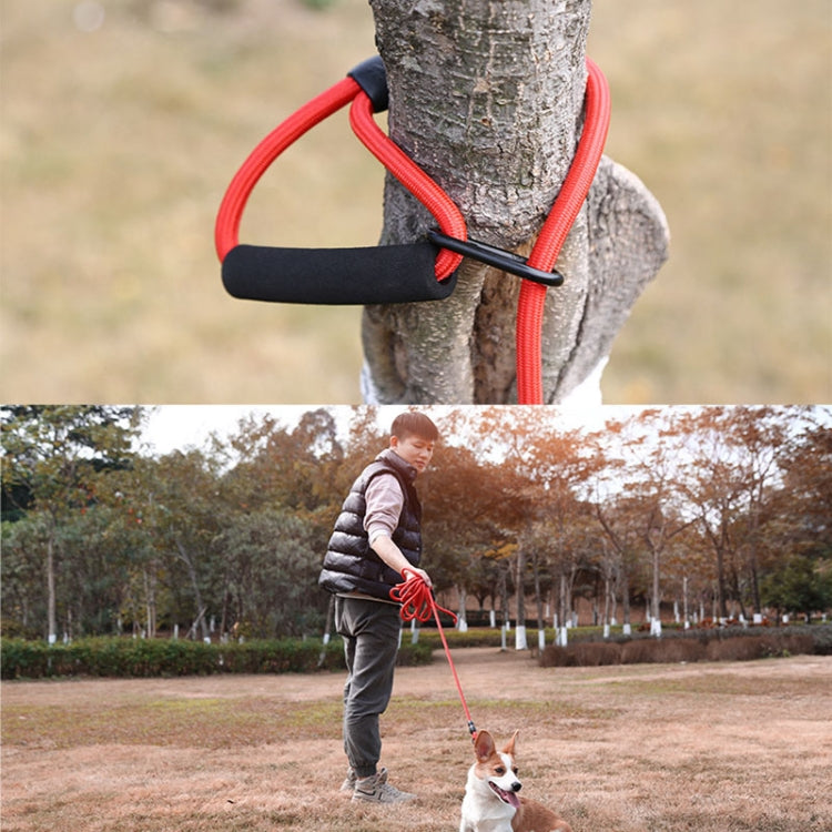 Sh36 Rock Climbing Rope Pet Leash Bold and Long Dog Training Tracking Rope, Size: 10m(13mm Light Blue) - Leashes & Chest Strap by PMC TechLife | Online Shopping South Africa | PMC TechLife | Buy Now Pay Later Mobicred