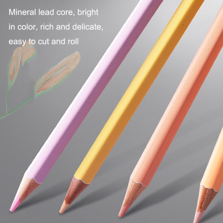 24 Colors Oily Bright Color Pencil Studio Special Set Morandi - Art Supplies by PMC TechLife | Online Shopping South Africa | PMC TechLife | Buy Now Pay Later Mobicred