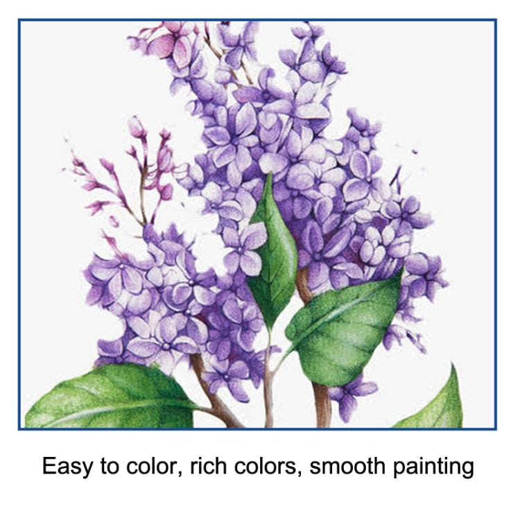 40pcs/set Sketch Color Pencil Set Art Student Drawing Kit - Art Supplies by PMC TechLife | Online Shopping South Africa | PMC TechLife | Buy Now Pay Later Mobicred