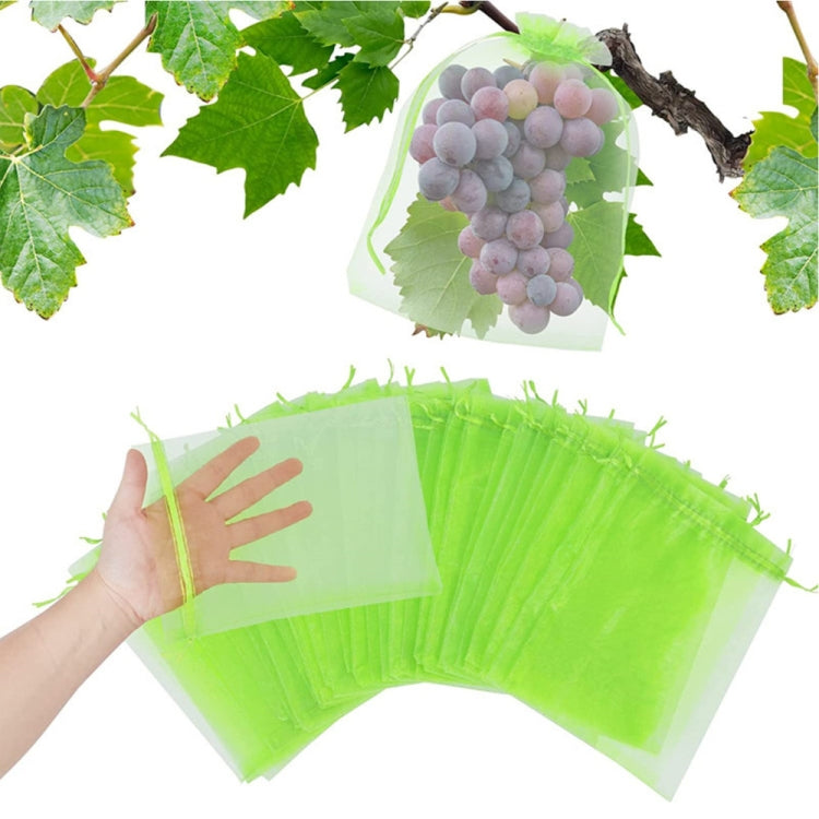 100pcs /Pack  Fruit Protection Bag Anti-Insect And Anti-Bird Net Bag 13 x 18cm(Black) - Plant Support & Care by PMC TechLife | Online Shopping South Africa | PMC TechLife | Buy Now Pay Later Mobicred