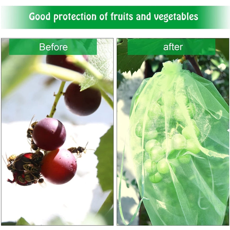 100pcs /Pack  Fruit Protection Bag Anti-Insect And Anti-Bird Net Bag 13 x 18cm(Black) - Plant Support & Care by PMC TechLife | Online Shopping South Africa | PMC TechLife | Buy Now Pay Later Mobicred