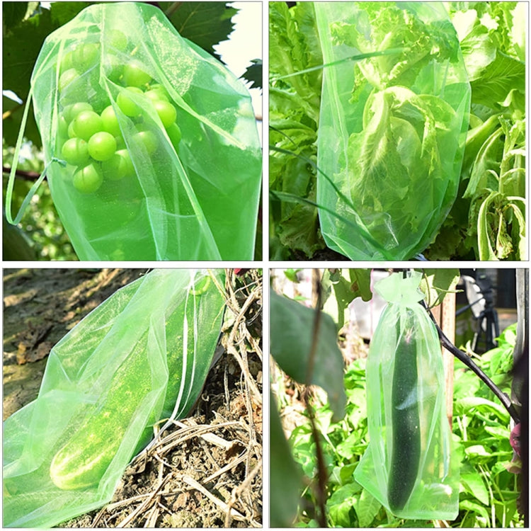 100pcs /Pack  Fruit Protection Bag Anti-Insect And Anti-Bird Net Bag 13 x 18cm(Black) - Plant Support & Care by PMC TechLife | Online Shopping South Africa | PMC TechLife | Buy Now Pay Later Mobicred