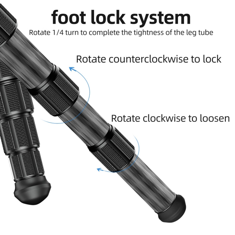BEXIN P406CF-S Carbon Fiber Monopod Travel Shooting Mobile Phone Live Selfie Bracket Retractable Portable Monopod - Monopods by BEXIN | Online Shopping South Africa | PMC TechLife | Buy Now Pay Later Mobicred