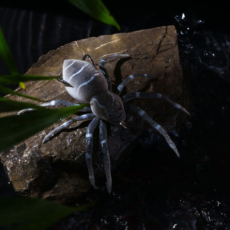 HENGJIA 8cm 7g Lua Spider Soft Bait Bionic Mimic Bait, Color: 5 Colors - Fishing Lures by HENGJIA | Online Shopping South Africa | PMC TechLife | Buy Now Pay Later Mobicred