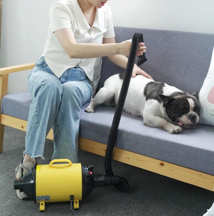 2100W Dog Dryer Stepless Speed Pet Hair Blaster With Vacuum Cleaner 220V UK Plug(Pure Black) - free shipping - PMC TechLife - Order now!