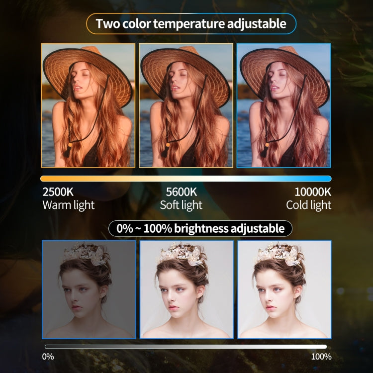 Pixel P80 60W 2600-10000K 542 LEDs Photography Fill Light Support Mobile APP Remote Control,EU Plug - free shipping - PMC TechLife - Order now!