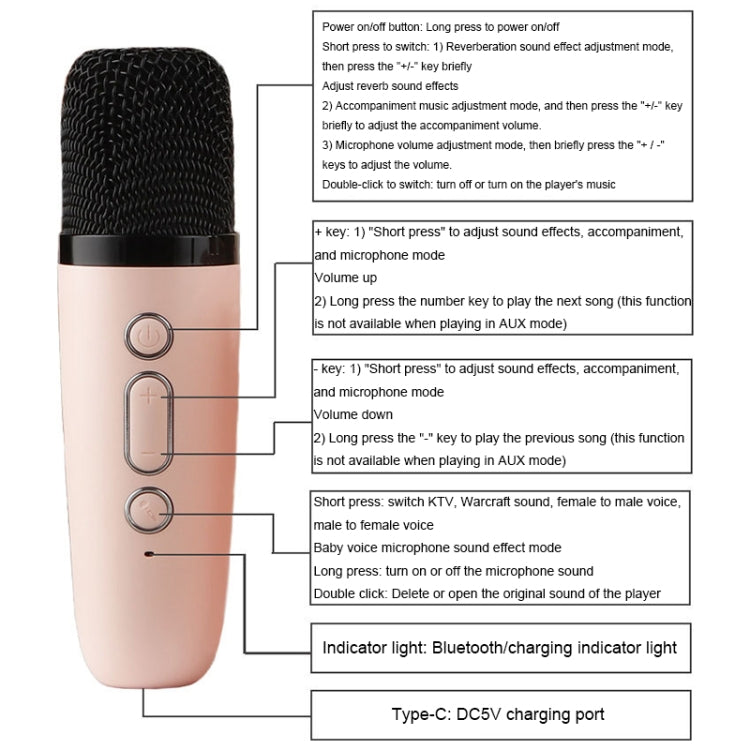 Portable RGB Lighting Effect Bluetooth Speaker Home Mini Karaoke Audio, Style: Dual Microphone+Speaker(Beige) - Microphone by PMC TechLife | Online Shopping South Africa | PMC TechLife | Buy Now Pay Later Mobicred