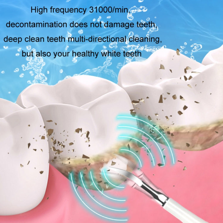 Electric Dental Scaler Accessories Replacement Head, Color: 5pcs Toothbrush Head White - Replacement Brush Heads by PMC TechLife | Online Shopping South Africa | PMC TechLife | Buy Now Pay Later Mobicred