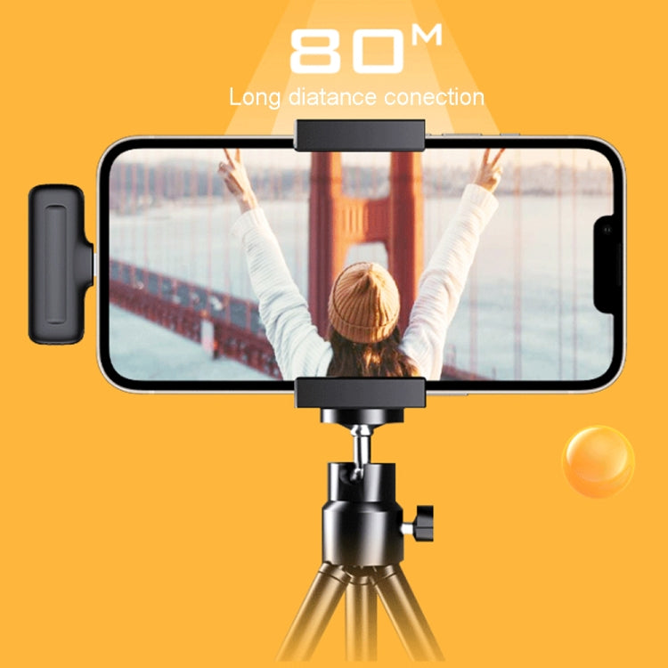 One To Two Outdoor Recording Lavalier Microphone Noise Canceling Wireless Mic For Live Streaming, Interface: 8 Pin - Microphone by PMC TechLife | Online Shopping South Africa | PMC TechLife | Buy Now Pay Later Mobicred