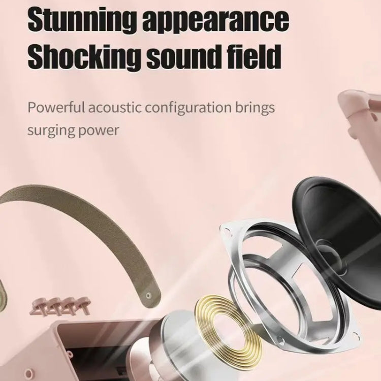 Portable Bluetooth Speaker Home Mini Karaoke Audio, Style: Dual-Microphone+Speaker(Pink) - Mini Speaker by PMC TechLife | Online Shopping South Africa | PMC TechLife