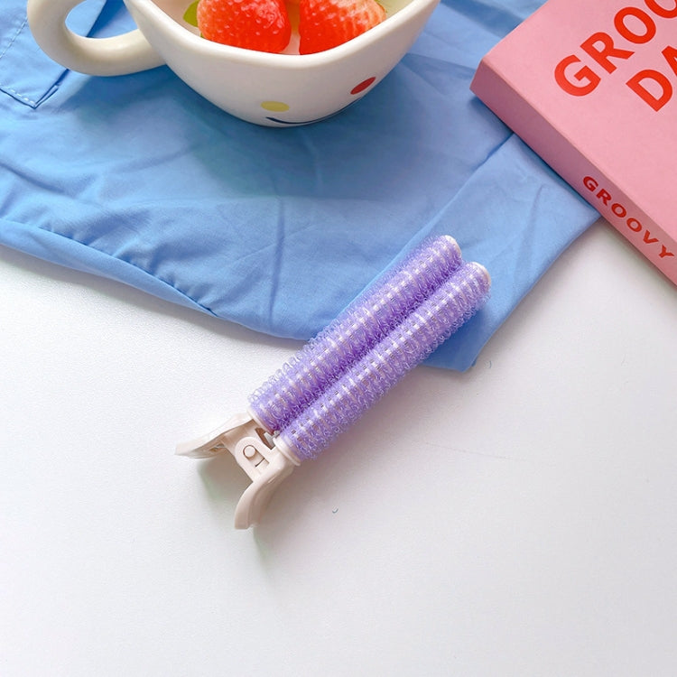Fluffy Hair Clips Volumizing Root Clips Women Girls DIY Hair Styling Tool(Light Purple) - free shipping - PMC TechLife - Order now!