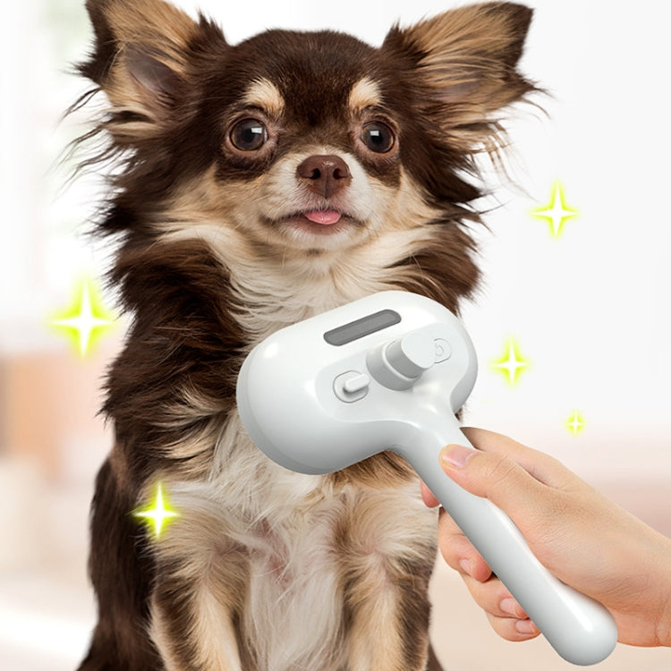 RK56 USB Charging Spray Pet Grooming Comb Cat and Dog Hair Removal Tool Pet Products(Green) - Brushes & Combs by PMC TechLife | Online Shopping South Africa | PMC TechLife | Buy Now Pay Later Mobicred