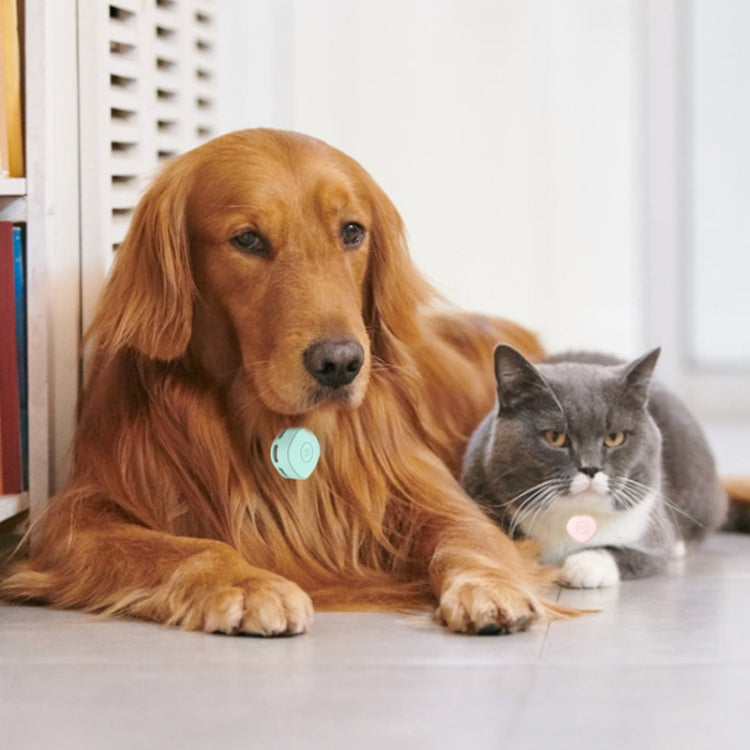 For Samsung Galaxy SmartTag Positioning Tracker Life Waterproof Silicone Protective Case(Pink) - SmartTag Accessories by PMC TechLife | Online Shopping South Africa | PMC TechLife