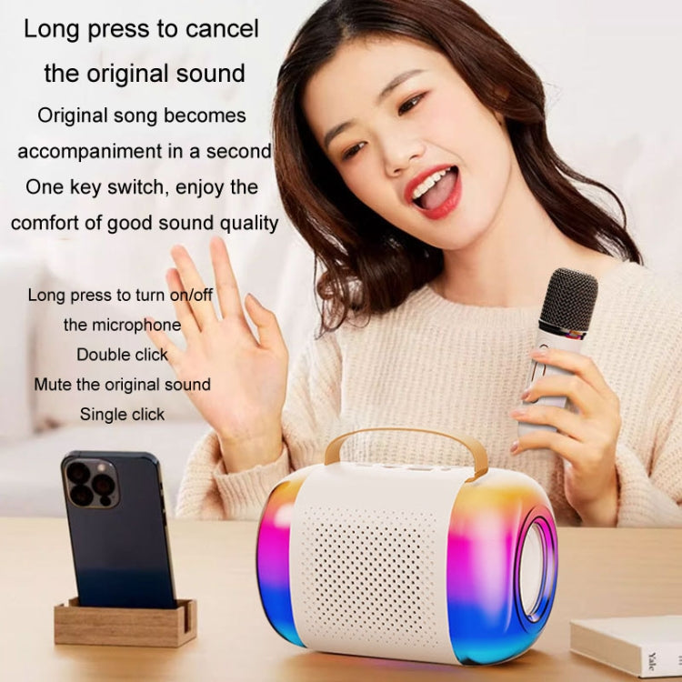 Y5 1 Microphone Portable Bluetooth Speaker Home And Outdoor Wireless Karaoke Audio(Black) - Microphone by PMC TechLife | Online Shopping South Africa | PMC TechLife | Buy Now Pay Later Mobicred