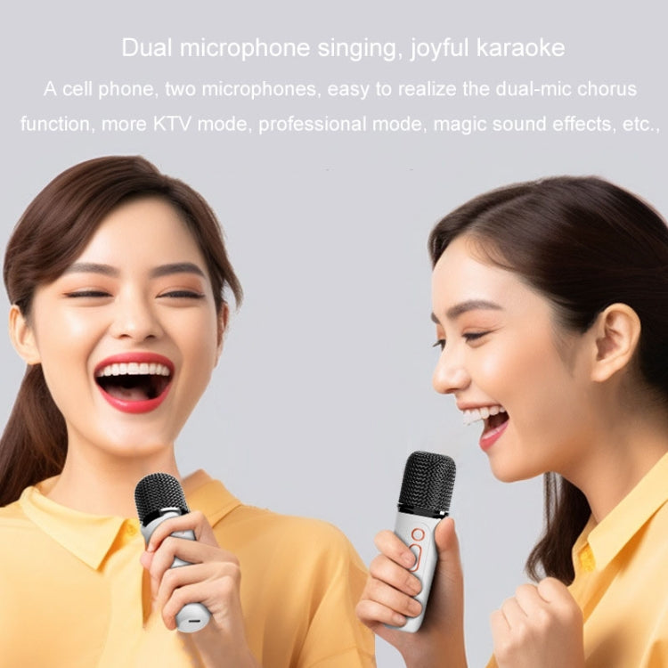 Y5 2 Microphone Portable Bluetooth Speaker Home And Outdoor Wireless Karaoke Audio(Pink) - Microphone by PMC TechLife | Online Shopping South Africa | PMC TechLife | Buy Now Pay Later Mobicred