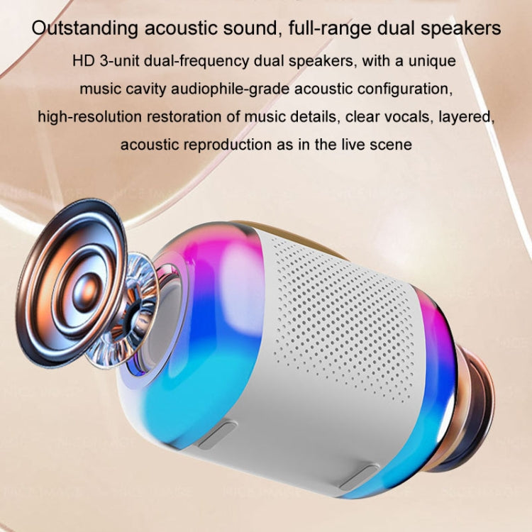 Y5 1 Microphone Portable Bluetooth Speaker Home And Outdoor Wireless Karaoke Audio(Pink) - Microphone by PMC TechLife | Online Shopping South Africa | PMC TechLife | Buy Now Pay Later Mobicred
